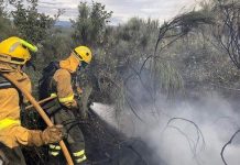 Controlados los incendios de La Vera.