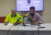 Alerta de picudo rojo en dos palmeras de Navalmoral