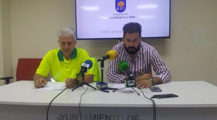 Alerta de picudo rojo en dos palmeras de Navalmoral