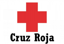 Las personas con problemas de movilidad podrán contar con la ayuda de Cruz Roja para votar